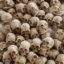 Halloween Skull Head Ornament